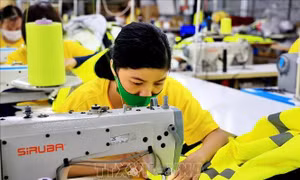 Hiến kế hồi phục 'sức khỏe' cho doanh nghiệp