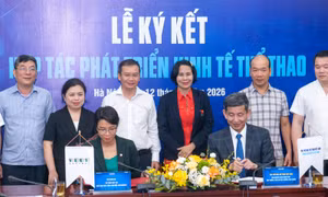 Cục Thể dục thể thao tìm hướng thúc đẩy phát triển kinh tế thể thao