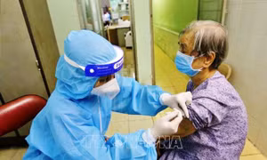 Ngày 26/8, Việt Nam có 11.575 ca mắc mới COVID-19, thêm 18.567 người khỏi bệnh
