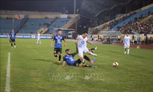 Câu lạc bộ Thép Xanh Nam Định thắng CLB Thành phố Hồ Chí Minh 2 - 1