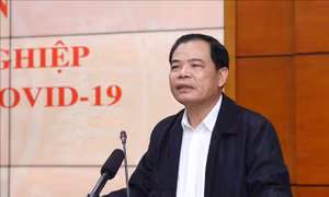Bộ trưởng Nguyễn Xuân Cường: Từ Huế trở ra sẽ có vụ đông xuân thắng lợi, hoàn thành mục tiêu đạt 20,5 triệu tấn thóc