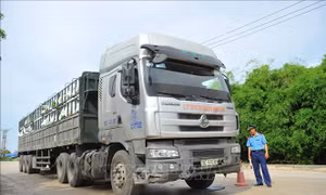 Điều khiển xe vượt tải trọng cho phép đi trên công trình thủy lợi bị phạt như thế nào?