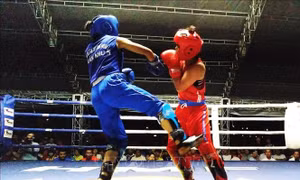 Các đội tuyển thể thao Việt Nam gấp rút chuẩn bị cho SEA Games 31