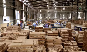 Tránh rủi ro pháp lý trong đấu thầu mua sắm công các sản phẩm về gỗ 