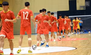 Đội tuyển futsal Việt Nam sẵn sàng với thử thách mang tên tuyển Brazil