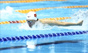 SEA Games 33 ngày 10/12: Bơi, đua thuyền, võ xuất trận