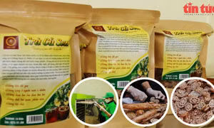 Trà củ sen cho thu nhập cao