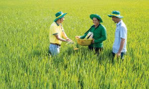 Nghiên cứu, phát triển sản phẩm và chuyển đổi số góp phần tạo bước nhảy vọt cho nông nghiệp Việt Nam
