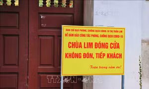 Không tổ chức Hội Lim 2022