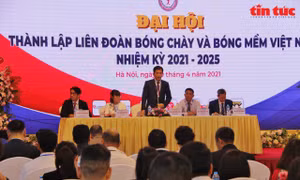 Ông Trần Đức Phấn được bầu làm Chủ tịch Liên đoàn Bóng chày và Bóng mềm Việt Nam
