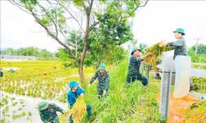 Cập nhật thiệt hại bão số 3 và mưa lũ