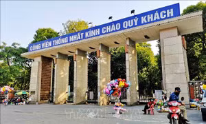 'Phá rào' cho những không gian xanh