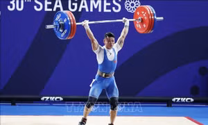 Thêm 3 suất từ cử tạ, Việt Nam giành 14 vé chính thức đến Olympic Tokyo