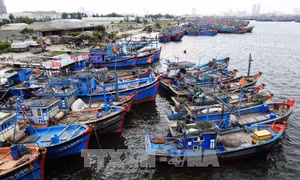 Cảnh báo mưa dông ở các vùng biển phía Nam