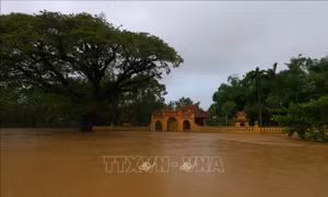 Thừa Thiên - Huế: Mưa trắng trời kết hợp với lũ đổ về, khu vực hạ du ngập nặng