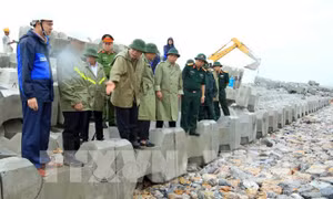 Cát tặc là điểm nóng trong bảo vệ hệ thống đê kè