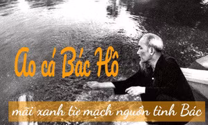 ‘Ao cá Bác Hồ’ - mãi xanh từ mạch nguồn tình Bác