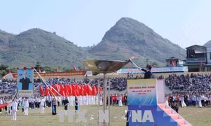 Tăng cường các hoạt động thể dục thể thao trong thanh thiếu nhi, tạo nguồn vận động viên
