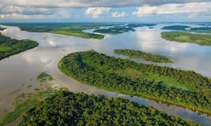 Cộng hòa Congo đàm phán hoán đổi nợ để bảo vệ môi trường