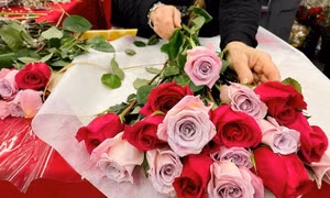 Xu thế Valentine ‘độc thân, tự thưởng’ tại Mỹ