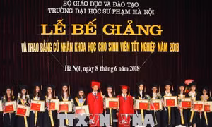 Cấp bách quy hoạch mạng lưới trường sư phạm