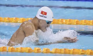 SEA Games 33: Bơi Việt Nam khẳng định vị thế hàng đầu khu vực