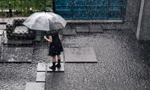 Độc đáo quán cà phê ở Hàn Quốc cứ 15 phút lại đổ mưa một lần