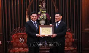 Phó Thủ tướng Hồ Đức Phớc tiếp nguyên Phó Thủ tướng Singapore