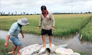 Sản xuất nông nghiệp trước biến đổi khí hậu – Bài 1