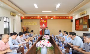 PC Quảng Ngãi đảm bảo cung ứng điện ổn định, liên tục cho khách hàng