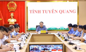 Tuyên Quang: Phấn đấu hết quý II/2027 hoàn thành đầu tư cho 40 thôn chưa có điện