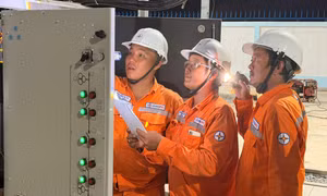 EVNSPC đã đảm bảo điện an toàn, ổn định trong kỳ nghỉ Tết Nguyên đán 2026
