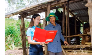 Tổ vay vốn - 'cánh tay nối dài' đưa tín dụng Agribank đến với nông dân