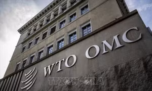 WTO cảnh báo rủi ro tiềm ẩn cho triển vọng thương mại toàn cầu