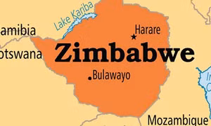 Bé trai Zimbabwe 7 tuổi sống sót sau 5 ngày lạc vào khu bảo tồn đầy thú dữ