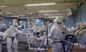 Trung Quốc phát hiện virus mới ở dơi có thể lây sang người giống Covid-19