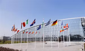 Wikileaks tiết lộ thông tin liên quan việc gia nhập NATO của Ukraine