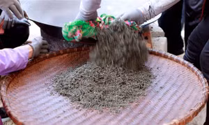 Lý do bạn nên cân nhắc chuyển từ nhâm nhi ly cà phê sang uống tách trà