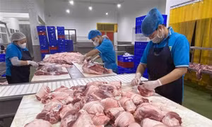 Những thiếu hụt dinh dưỡng đáng lo từ chế độ ăn toàn thịt