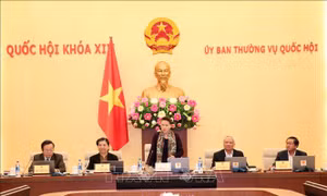 Thông qua Pháp lệnh Sửa đổi, bổ sung một số điều của bốn pháp lệnh có liên quan đến quy hoạch