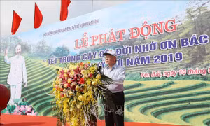 Tổng Bí thư, Chủ tịch nước Nguyễn Phú Trọng phát động 'Tết trồng cây đời đời nhớ ơn Bác Hồ'