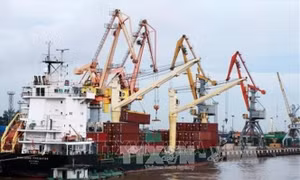 Đến tháng 1/2019, doanh nghiệp nhà nước sẽ được quản lý trực tuyến
