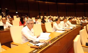 Thông qua Luật sửa đổi, bổ sung một số điều của Luật Kinh doanh bảo hiểm và Luật Sở hữu trí tuệ