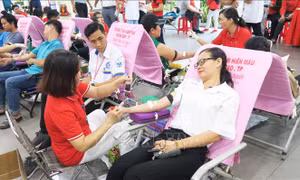 TP Hồ Chí Minh phấn đấu vận động 56.000 túi máu phục vụ cấp cứu dịp Tết 
