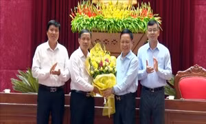 Thủ tướng phê chuẩn kết quả bầu lãnh đạo UBND tỉnh Hòa Bình, Lai Châu