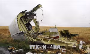 Ukraine bác bỏ tuyên bố mới của Nga liên quan máy bay MH17