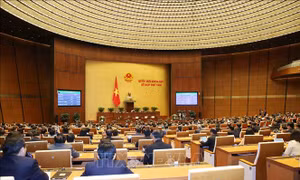 Kỳ họp thứ 8, Quốc hội khóa XIV: Thông cáo báo chí số 28