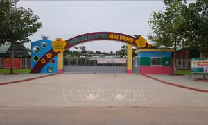 Đình chỉ hoạt động của trường, buộc thôi việc giáo viên dùng vật nhọn đâm vào tay trẻ tại Bình Phước