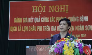 Bắc Kạn công bố hết dịch tả lợn châu Phi