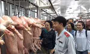 Cao điểm đấu tranh với thực phẩm giả và thực phẩm bẩn ở TP Hồ Chí Minh